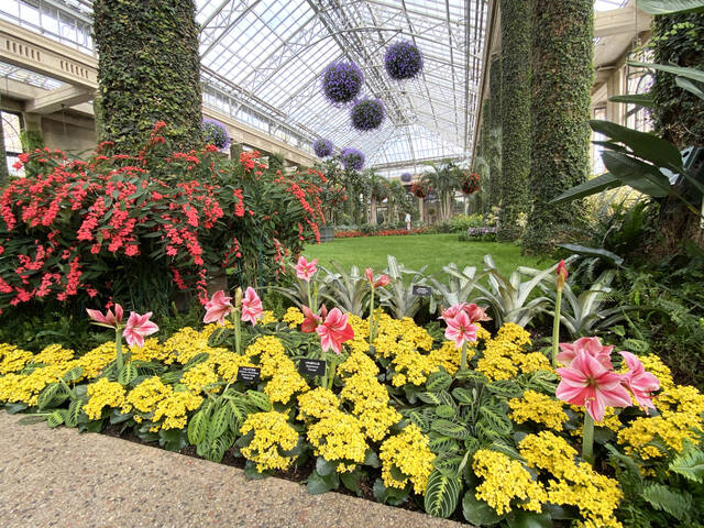 A winter visit to Longwood Gardens | News Democrat